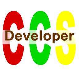 Logotipo CCS Developer
